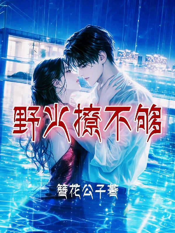 野火撩不够